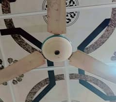 ceilling fan in good condition