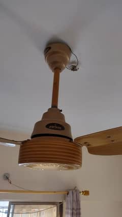 ceiling fan for sell urgent 10/10 condition