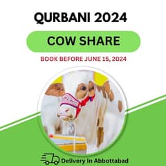 Qurbani Hissa Available