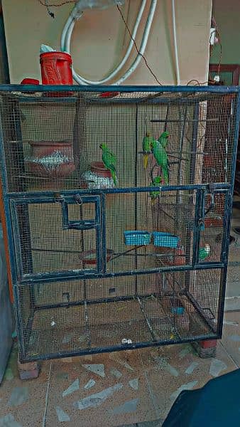 cage for urgent sale 0