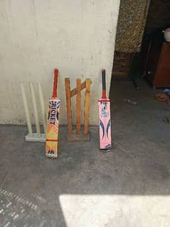 bats and cricket