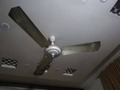 Cieling fan good condition