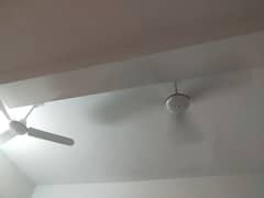 celling fan sale