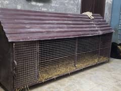 Iron cage for dogs puppies hens and brides