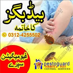 Termite Control Pest Control Fumigation Services in Lahore