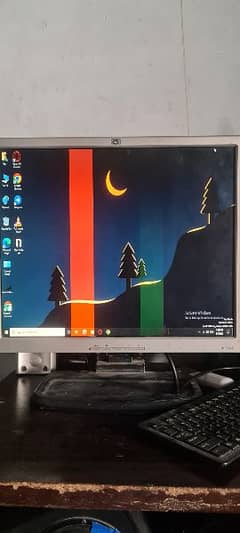 HP  LCD Monitor 19 inches