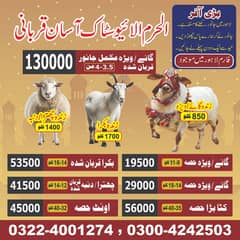Eid Qurbani | Bakra Eid | Bull | Cow | Vehra | Wacha