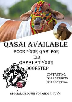 professional qassai available