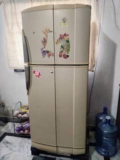 Pel Refrigerator with best in condition