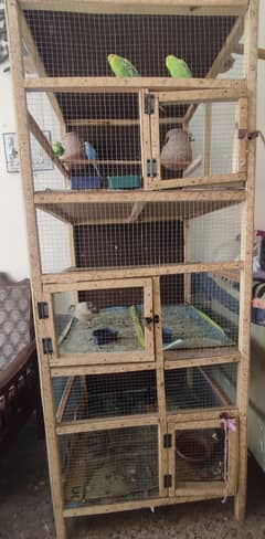 Cage,Pinjra,Bird