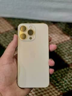 iphone 13pro | golden | approved