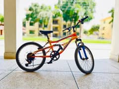 20 inch imported kids bicycle