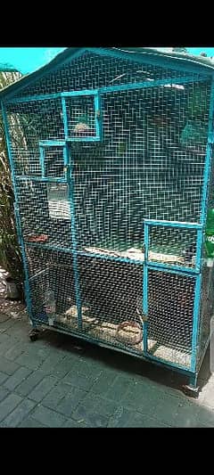 طوطے بمعہ پنجرہ برائے سیل parrot and cage for sale