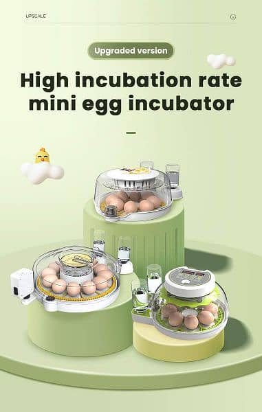 imported egg incubators AC and DC 6