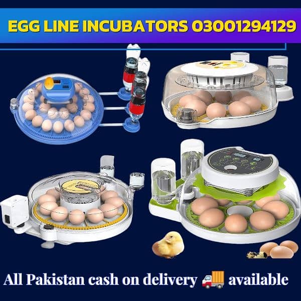 imported egg incubators AC and DC 11