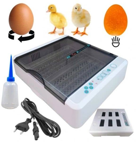 imported egg incubators AC and DC 16