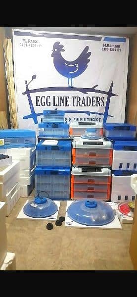 imported egg incubators AC and DC 19