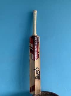 Kookaboora bat for hard ball. Brand new