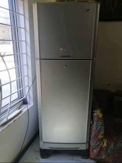 Pel fridge full size