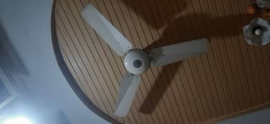 3 ceiling fans of Pak Fan