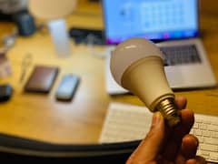 15-Watt LED Bulb