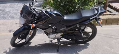 Yamaha YBR 125 2021/2022 for sale