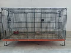 2 portion 5 cages Master Company