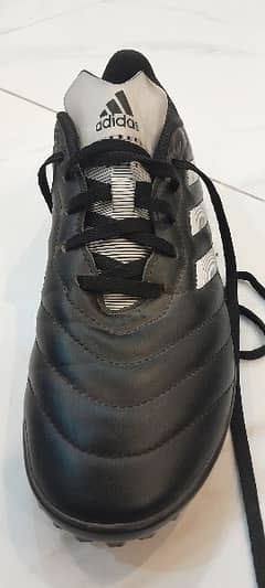 Adidas golleto VIII soccer cleats GY5775