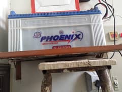 Phoenix battery XP200