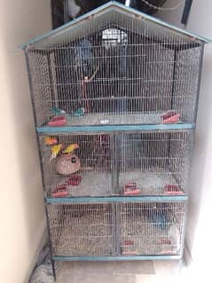 3 Floor Cage with Separate 5 Cages