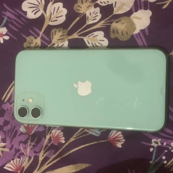 IPHONE 11 GREEN 10/10 128GB USA 0