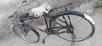 sohrab best condition 22 inch cycle