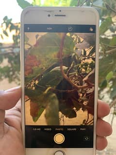 Iphon 6 plus no n Pta good condition onle chanj battery and camera