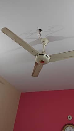 Ceiling Fan 56 inch Perfect condition 100% genuine