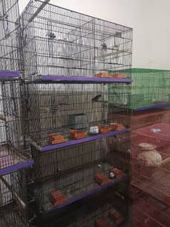 8 portion cage. condition A1