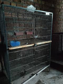 3 birds cages for sale with birds