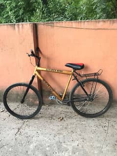 Adult bicycle for sale