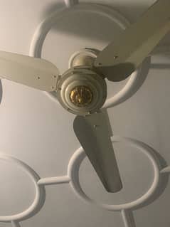sonex celling fan