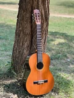 Spanish Ecole Guitar L250