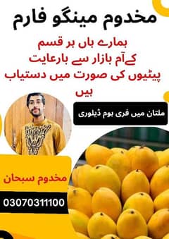 All type varieties of Mangoes available
