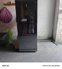 Pel 16cft refrigerator glass door