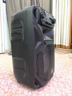 Speaker MIC system