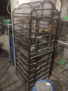 Cages for Macaw Grey Kakatu