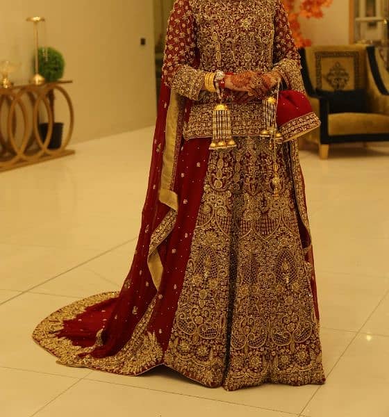 Branded Bridal Dress Ali Zeeshan 3