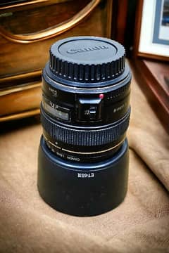 Canon EF 85mm F1.8 UltraSonic - Super sharp portrait lens