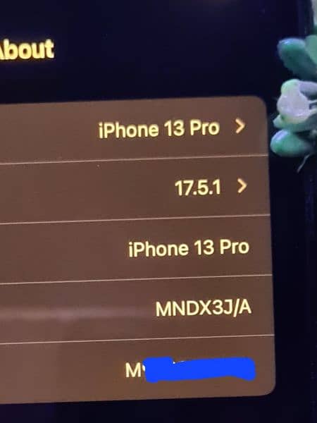 Apple iPhone 13 Pro 128 GB Non-PTA Factory unlock 4