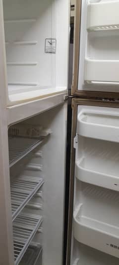 Refrigerator (Dawlance)