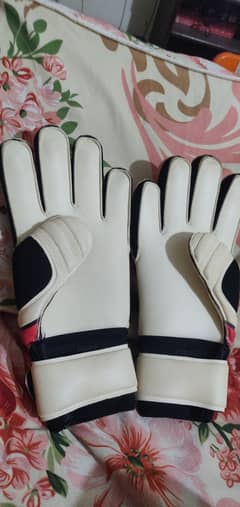 STANNO (goal keeper gloves)