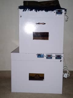 manual & automatic incubator, brooder 30,50,100,150,240,320,500 eggs