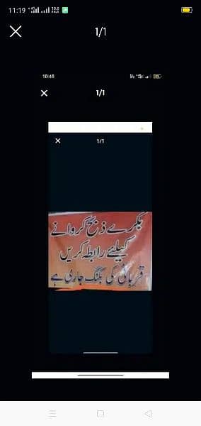 kasab avail